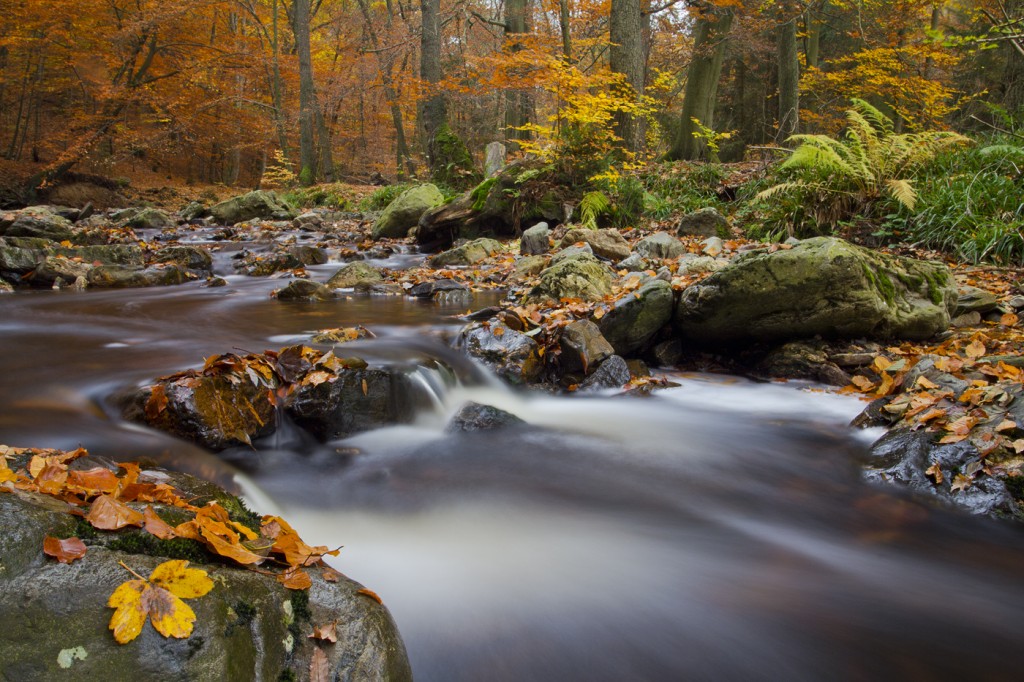 Natuurfotografie | Landschap Vzw